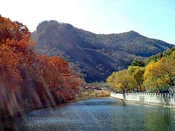 新澳天天开奖资料大全旅游团，穿越小说